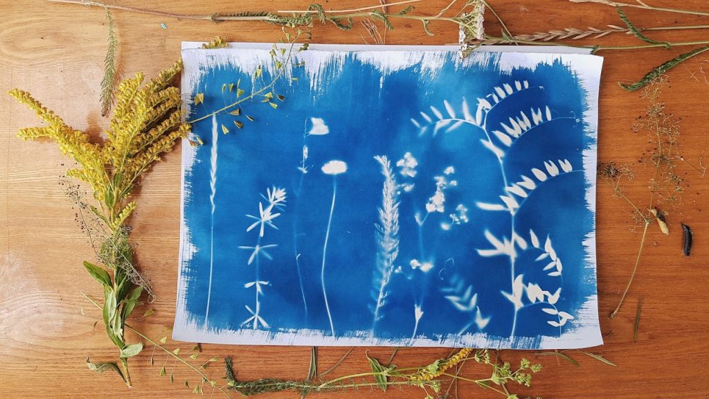blue-and-white-floral-painting-10457732 An artistic cyanotype representation of botanical elements with an arrangement of natural plants on a wooden surface.