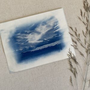 Cyanotype paysage