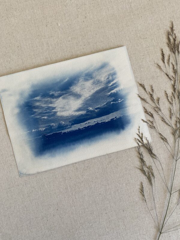 Cyanotype paysage